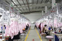Thu bảo hiểm xã hội đạt 99,42% kế hoạch năm 2024