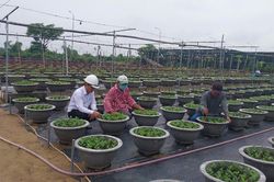 Người cán bộ hội nhiệt tình, gần gũi nông dân