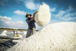 Festival nghề muối Việt Nam: '100 năm di sản nghề muối - đời người'