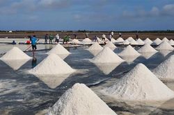 Festival nghề Muối Việt Nam lần đầu tiên sẽ diễn ra tại Bạc Liêu