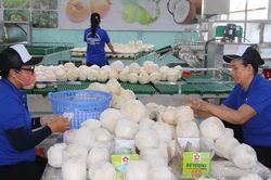 Xuất khẩu nông lâm thủy sản có nhiều cơ hội và dư địa tăng trưởng trong năm 2025