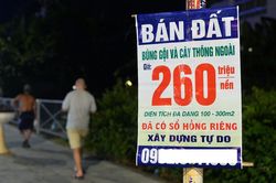 Nghỉ việc do tinh giản biên chế, có nên đi làm môi giới bất động sản?