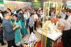 Các doanh nghiệp hướng tới phát triển bền vững