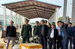 Nghệ An xử phạt 272 tàu cá vi phạm IUU với số tiền hơn 5 tỷ đồng