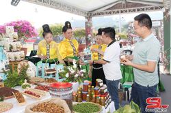 Nông sản an toàn Sơn La sẵn sàng phục vụ Tết Nguyên đán