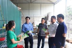 Thực hiện Chỉ thị 40: Sức bật nơi miền biên ải (Kỳ 3)
