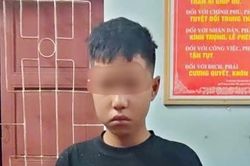 Thiếu niên mang 2 tiền sự còn lập mưu cướp tài sản của trẻ em
