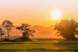 Cuối năm, thơ chợt hiện