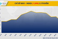 Giá bạc rơi khỏi mốc 30 USD/ounce, giá dầu thô diễn biến giằng co