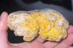 Vớ được 'báu vật' khi dạo biển, ngư dân chớp mắt đổi đời