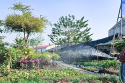 Mặt bằng kinh doanh hoa cây cảnh Tết ở Nghệ An tăng giá, khó thuê