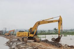 Sáp nhập Ban Quản lý dự án Đê điều vào Ban Quản lý dự án đầu tư xây dựng các công trình nông nghiệp và phát triển nông thôn Nghệ An
