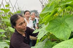 Đồng hành cùng nông dân Việt Nam trong giai đoạn mới