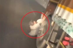 2 người đàn ông bị kéo lê dưới gầm xe tải, dân chặn xe đánh tài xế