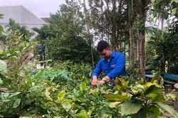 Mong được rèn luyện, trưởng thành trong quân đội