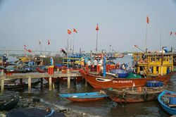 Quảng Nam: Tập trung giải quyết dứt điểm tàu cá '3 không'