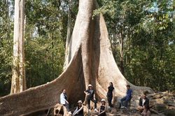 Liên kết phát triển du lịch xanh vùng Đông Nam Bộ