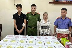 Phá đường dây vận chuyển trái phép chất ma túy từ châu Âu về Việt Nam