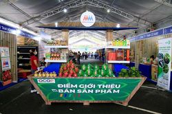 Kinh tế hợp tác xã nông nghiệp: Hơn 60% hoạt động có hiệu quả