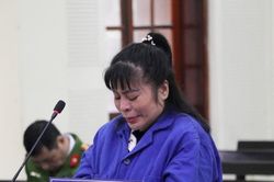 Nữ giám đốc 'nổ' có thể chạy được án treo, chuyển đổi được mục đích sử dụng đất ở Nghệ An