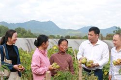 Dấu ấn đột phá trong xây dựng nông thôn mới tại Tương Dương