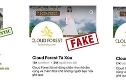 Nhiều fanpage giả lừa đảo khách du lịch