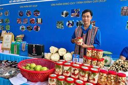 Lan tỏa mô hình phát triển kinh tế nông nghiệp bền vững ở xã Ba Vì, huyện Ba Tơ