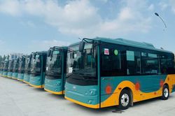 Thành phố Hồ Chí Minh: Lên lộ trình chuyển đổi sang dùng xe buýt điện và năng lượng xanh