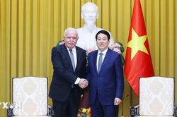 Việt Nam ủng hộ sự nghiệp đấu tranh chính nghĩa của nhân dân Palestine