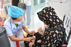 Bộ Y tế dự báo bệnh dại, sởi và cúm gia cầm có nguy cơ tăng cao