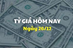 Tỷ giá hôm nay 26/12: Giá USD và NDT biến động cùng chiều