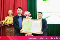 'Gạo rươi Đức Thọ' được cấp đăng ký nhãn hiệu chứng nhận