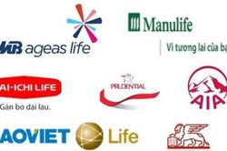 Doanh thu phí bảo hiểm giảm nhẹ trong 2024