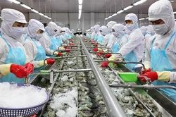 Xuất khẩu thủy sản Việt Nam đứng top 3 thế giới