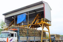 Công ty cổ phần Mía đường Sông Con: Tạo chính sách phát triển vùng nguyên liệu