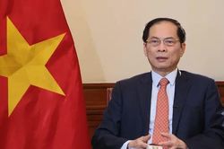 Đối ngoại 2024 tạo đà cho đất nước vào kỷ nguyên mới