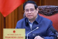 Khuyến khích cán bộ đi cơ sở khi sắp xếp bộ máy