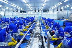 DDIF cho thủy sản Thuận Phước vay ưu đãi 4,7 tỷ đồng để đầu tư máy móc hiện đại