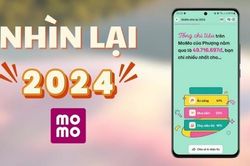 Nhìn lại năm 2024 cùng MoMo xem tổng kết chi tiêu một năm qua