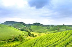 Luật Đất đai 2024 quy định cơ quan nào có thẩm quyền quyết định, phê duyệt quy hoạch, kế hoạch sử dụng đất hằng năm cấp huyện?
