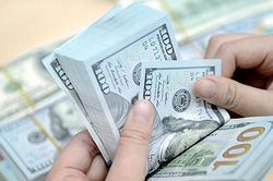 VND có thể mất giá 3% trong năm 2025