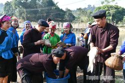 Nét đẹp bình dị trong cuộc sống làng quê