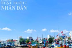 Bình Thuận: Tập trung kiểm tra, xử lý chống khai thác IUU dịp Tết Nguyên Đán 2025