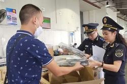 Xử lý 16.390 vụ việc vi phạm luật Hải quan