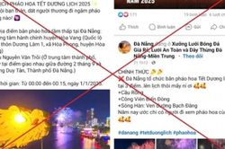 Đà Nẵng không bắn pháo hoa dịp Tết Dương lịch 2025