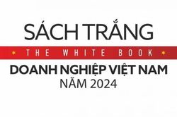 Sách trắng doanh nghiệp Việt Nam năm 2024