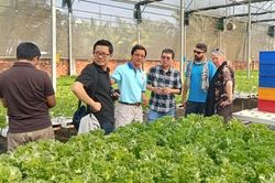 TP. Hồ Chí Minh có 216 hộ nông dân có mức thu nhập trên 1 tỷ đồng/năm