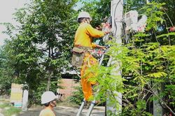 Lịch cúp điện Tây Ninh từ ngày 31/12/2024 – 5/1/2025: Nhiều khu dân cư và tuyến đường sẽ nằm trong diện cúp điện cả ngày