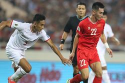Bóng đá Việt Nam năm 2024: Đan xen những sắc màu