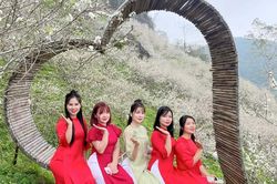 Kỳ vọng năm du lịch bứt phá